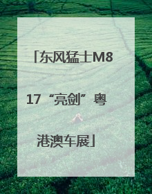 东风猛士M817“亮剑”粤港澳车展