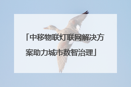 中移物联灯联网解决方案助力城市数智治理
