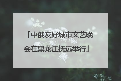 中俄友好城市文艺晚会在黑龙江抚远举行