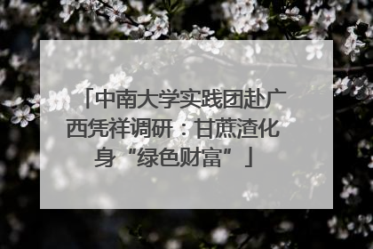 中南大学实践团赴广西凭祥调研：甘蔗渣化身“绿色财富”