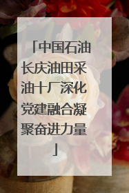 中国石油长庆油田采油十厂深化党建融合凝聚奋进力量