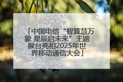 中国电信“智算慧万象 星辰启未来”主题展台亮相2025年世界移动通信大会