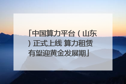 中国算力平台（山东）正式上线 算力租赁有望迎黄金发展期