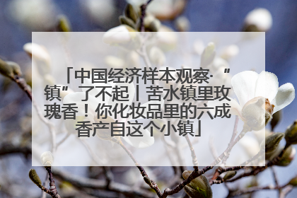 中国经济样本观察·“镇”了不起丨苦水镇里玫瑰香！你化妆品里的六成香产自这个小镇