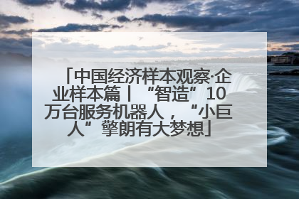 中国经济样本观察·企业样本篇丨“智造”10万台服务机器人，“小巨人”擎朗有大梦想