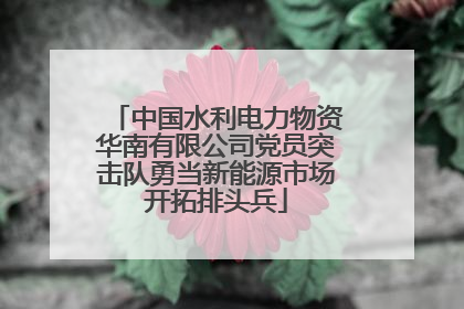 中国水利电力物资华南有限公司党员突击队勇当新能源市场开拓排头兵