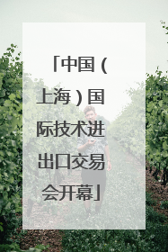 中国（上海）国际技术进出口交易会开幕