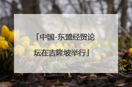 中国-东盟经贸论坛在吉隆坡举行
