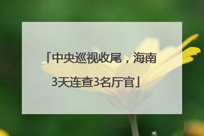 中央巡视收尾，海南3天连查3名厅官