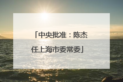 中央批准：陈杰任上海市委常委