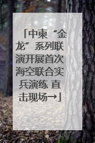 中柬“金龙”系列联演开展首次海空联合实兵演练 直击现场→