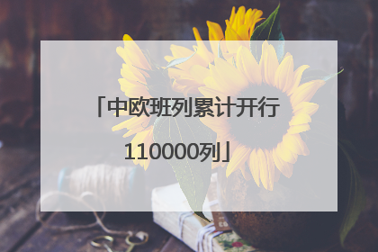 中欧班列累计开行110000列