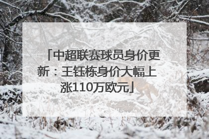 中超联赛球员身价更新：王钰栋身价大幅上涨110万欧元