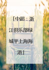 中超：浙江俱乐部绿城平上海海港