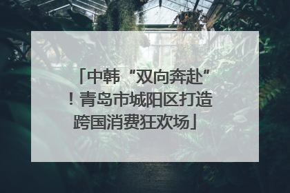 中韩“双向奔赴”！青岛市城阳区打造跨国消费狂欢场