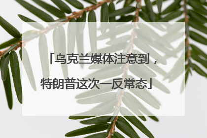 乌克兰媒体注意到，特朗普这次一反常态