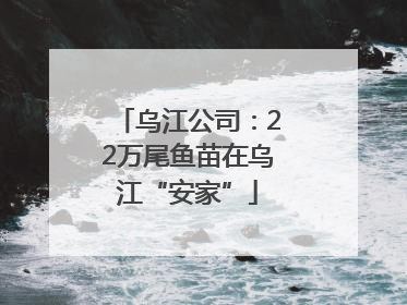 乌江公司：22万尾鱼苗在乌江“安家”