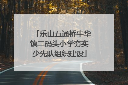 乐山五通桥牛华镇二码头小学夯实少先队组织建设