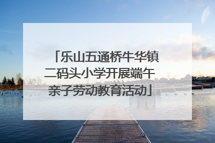 乐山五通桥牛华镇二码头小学开展端午亲子劳动教育活动