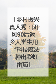 乡村振兴真人秀：团风90后返乡大学生用“科技魔法”种出彩虹番茄