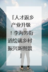 人才返乡 产业升级！李海务街道绘就乡村振兴新图景