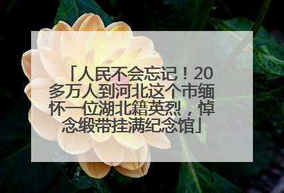 人民不会忘记！20多万人到河北这个市缅怀一位湖北籍英烈，悼念缎带挂满纪念馆