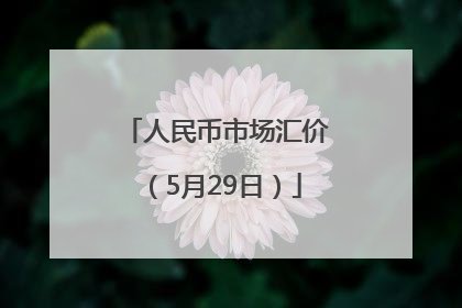 人民币市场汇价（5月29日）