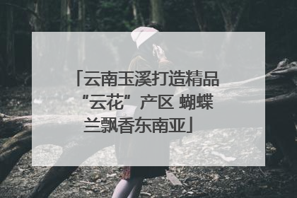 云南玉溪打造精品“云花”产区 蝴蝶兰飘香东南亚