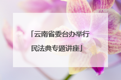 云南省委台办举行民法典专题讲座