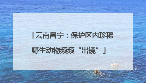 云南昌宁：保护区内珍稀野生动物频频“出镜”