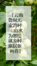 云南鲁甸尤家湾村：山水为墨绘就乡村旅居新画卷