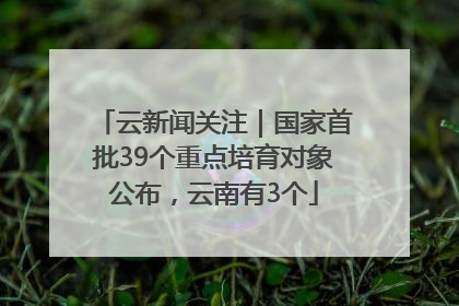 云新闻关注｜国家首批39个重点培育对象公布，云南有3个