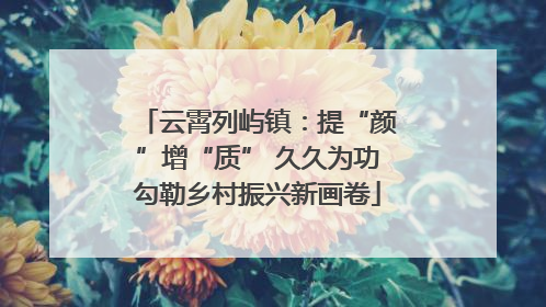 云霄列屿镇：提“颜”增“质” 久久为功勾勒乡村振兴新画卷