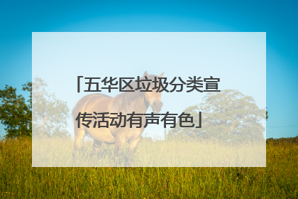 五华区垃圾分类宣传活动有声有色