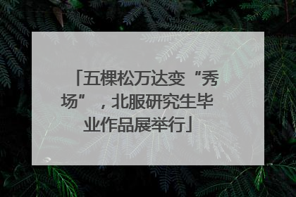 五棵松万达变“秀场”，北服研究生毕业作品展举行