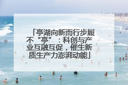 亭湖向新而行步履不“亭”：科创与产业互融互促，催生新质生产力澎湃动能