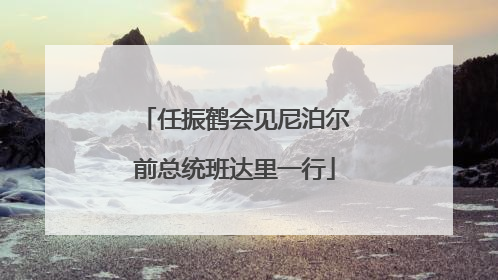 任振鹤会见尼泊尔前总统班达里一行