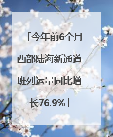 今年前6个月西部陆海新通道班列运量同比增长76.9%