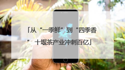 从“一季鲜”到“四季香” 十堰茶产业冲刺百亿