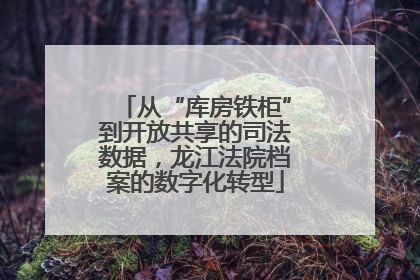 从“库房铁柜”到开放共享的司法数据，龙江法院档案的数字化转型