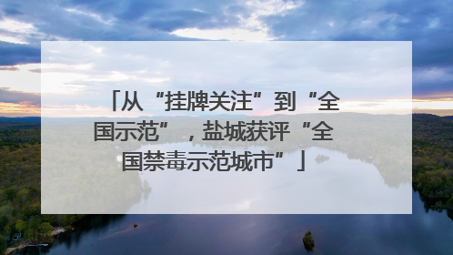 从“挂牌关注”到“全国示范”，盐城获评“全国禁毒示范城市”