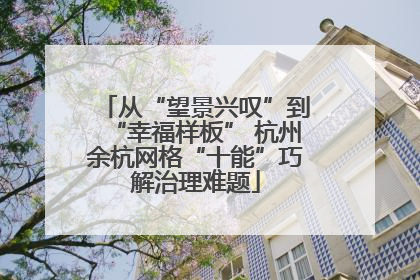 从“望景兴叹”到“幸福样板” 杭州余杭网格“十能”巧解治理难题