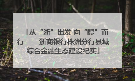 从“浙”出发 向“醴”而行——浙商银行株洲分行县域综合金融生态建设纪实