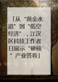 从“黄金水道”到“低空经济”，江汉区科技工作者日展示“硬核”产业答卷