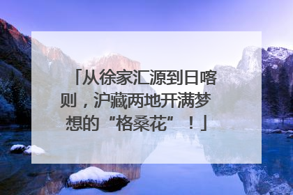 从徐家汇源到日喀则，沪藏两地开满梦想的“格桑花”！