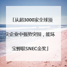 从超3000家全球顶尖企业中强势突围，能环宝蝉联SNEC金奖