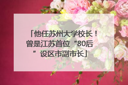 他任苏州大学校长！曾是江苏首位“80后”设区市副市长