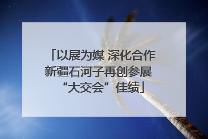 以展为媒 深化合作 新疆石河子再创参展“大交会”佳绩