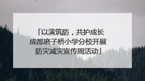 以演筑防，共护成长 成都磨子桥小学分校开展防灾减灾宣传周活动