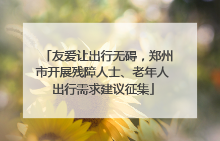 友爱让出行无碍，郑州市开展残障人士、老年人出行需求建议征集